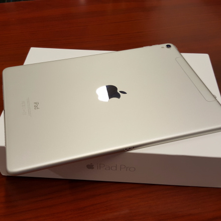 iPad Pro 银色 256Gb 9.7 LTE (99%新) 二手价