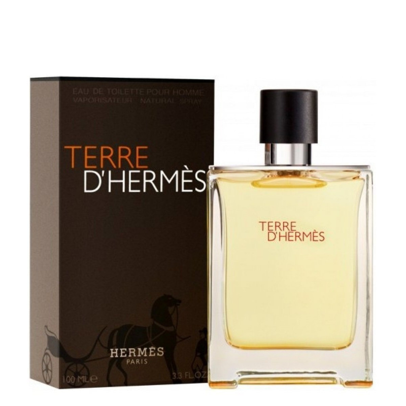 Hermes Terre D'Hermes EDT 100mL - PERFUME STATION