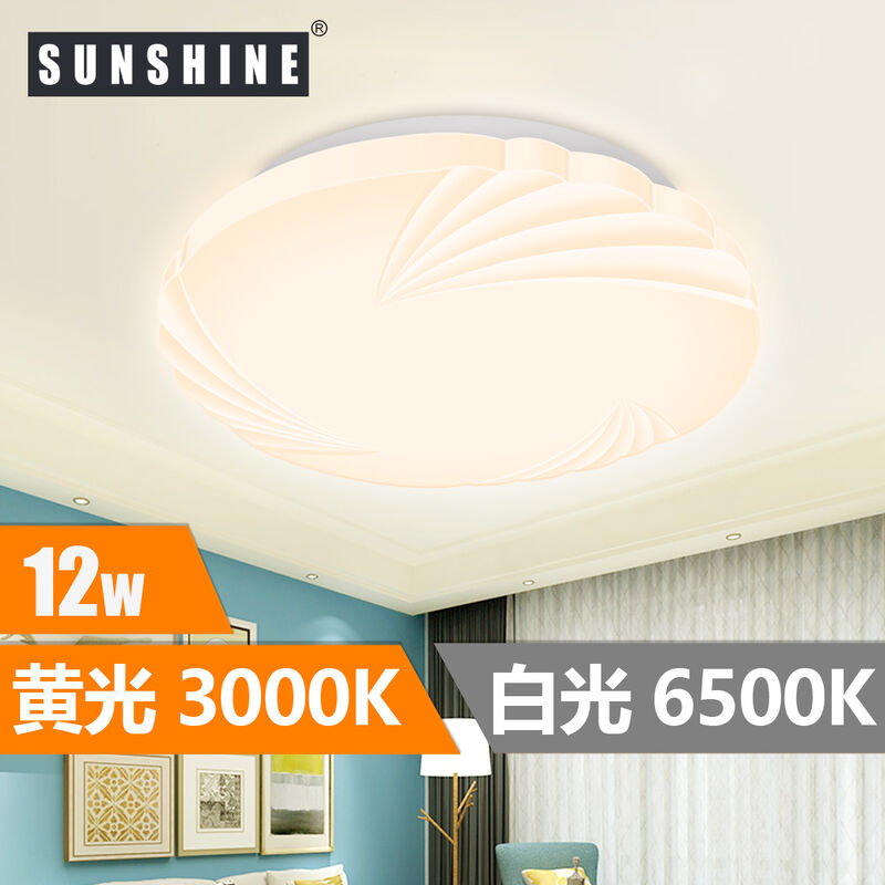 SUNSHINE 12W LED 白光/黃光 天花燈 [LCLM-12D]