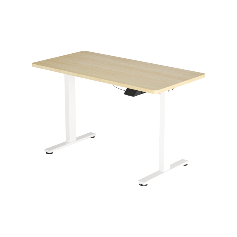 X-Win【DE系列】碳鋼木面升降電腦桌 [黑色/白色/木色] [1.2米/1.4米 ]