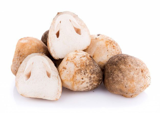 草菇还含有一种异种蛋白物质,有消灭人体癌细胞的作用